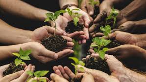 Marco Ginanneschi Agricoltura Sociale