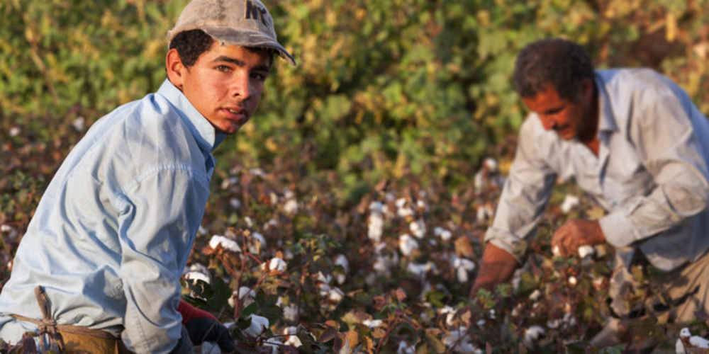 FONDAZIONE CON IL SUD – Contributo a fondo perduto per il contrasto dello sfruttamento dei lavoratori stranieri